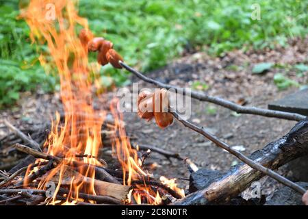 Toasten Speck im Wald auf einer Wanderung auf einem natürlichen Feuer Stockfoto