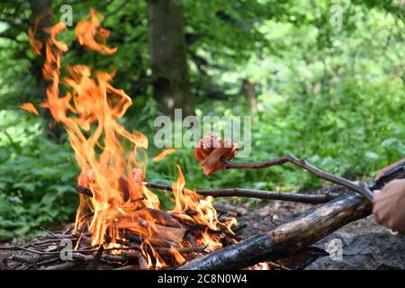 Toasten Speck im Wald auf einer Wanderung auf einem natürlichen Feuer Stockfoto