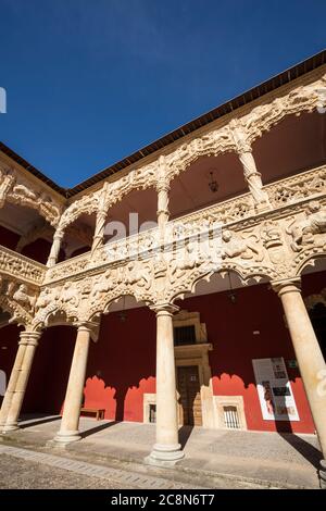 Palacio del Infantado in Guadalajara, Spanien Stockfoto