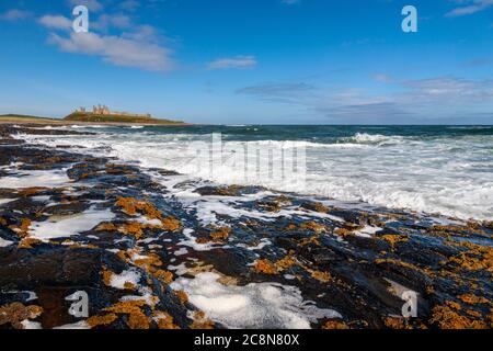 Wellen brechen auf den schwarzen Igneous Felsen bei Dunstanburgh Castle, Northumberland, England Stockfoto