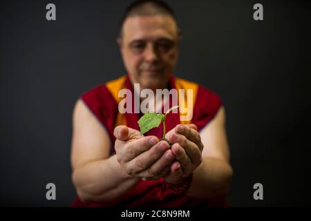 Der Mönch hält die Pflanze in der Hand. Ökologie Konzept und Pflege für die Natur Stockfoto