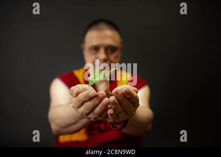 Der Mönch hält die Pflanze in der Hand. Ökologie Konzept und Pflege für die Natur Stockfoto