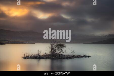 Eine kleine Insel am Loch Assynt bei Sonnenaufgang. Stockfoto