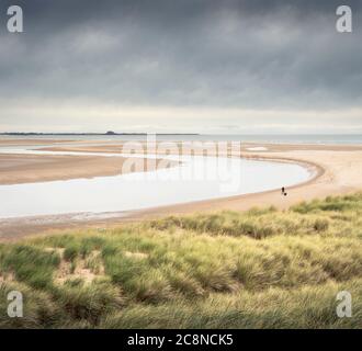 Ein Mann, der bei Ebbe am Strand in der Budle Bay bei Bamburgh in Northumberland mit seinem Hund unterwegs ist. Stockfoto