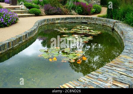 Großer reich verzierter Gartenteich mit Seerosen - John Gollop Stockfoto