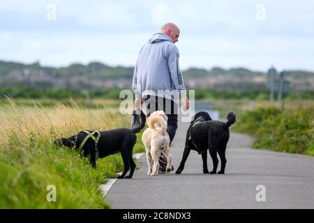 Mann, der die Landstraße entlang geht, mit dem Rücken zur Kamera und begleitet von drei Hunden Stockfoto