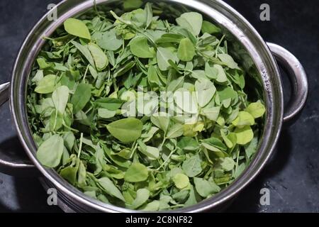 Rohe Bio-Bockshornklee-Methi-Blätter in einer Schüssel Stockfoto