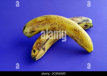 Zwei überreife Bananen mit braunen Flecken auf blauem Hintergrund. Zutaten für Bananenbrot, Desserts und andere Gerichte. Gesunde Ernährung. Selektiver Fokus. Stockfoto