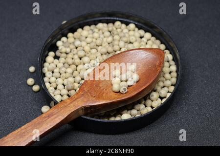 Weiße Pfefferkörner isoliert auf schwarzem Hintergrund Stockfoto