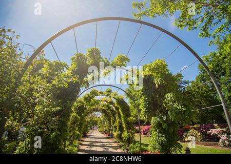 Schöne Pergola in der Sonne im Rhododendron Park Bremen Stockfoto