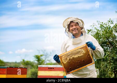Imker am Bienenstand Stockfoto