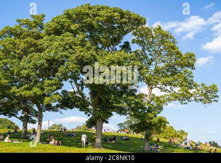 Besucher von Primrose Hill in London entspannen sich unter oder in der Nähe von massiven, imposanten Bäumen. An einem atemberaubenden Herbsttag vor blauem Himmel mit weißen Wolken. Stockfoto