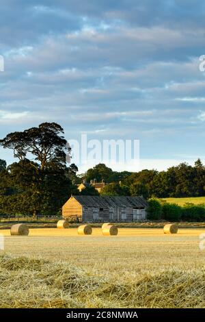 Landschaftlich reizvolle Landschaft (Strohballen im Farmfeld nach der Weizenernte, Sonnenlicht auf rustikaler Holzscheune & Abendhimmel) - North Yorkshire, England. Stockfoto