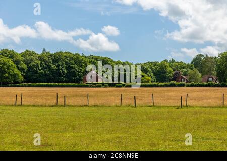 Englische Landschaftsansicht von Sevenoaks, Kent, UK Stockfoto