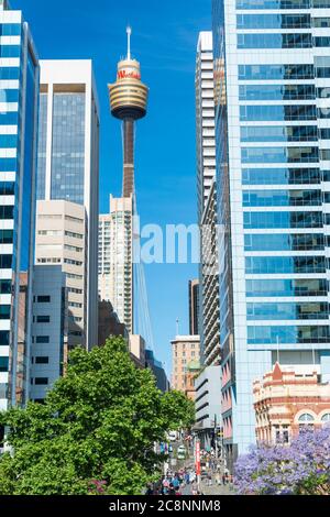 SYDNEY - OKTOBER 2015: Wunderschöne Skyline der Stadt in Downtown. Sydney zieht jährlich 20 Millionen Menschen an. Stockfoto