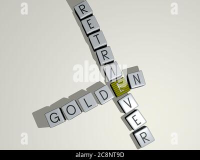 Kombination von GOLDEN RETRIEVER aus kubischen Buchstaben aus der oberen Perspektive gebaut, hervorragend für die Konzeptpräsentation. Hintergrund und Illustration. 3D-Illustration Stockfoto