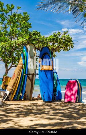 KUTA BALI - INDONESIEN, 7. FEBRUAR : Surfboards am berühmten Strand von Kuta in Bali Indonesien 7. Februar 2020 Stockfoto