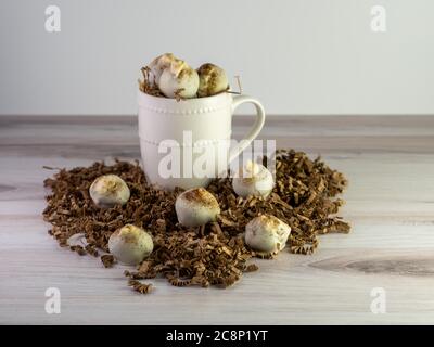 Cappuccino-Kuchenbällchen, die mit Espressopulver, einem Trüffelartigen Dessert, bestreut sind, aufgereiht auf braunen Papierfetzen in Form eines Herzens mit einem Whi Stockfoto