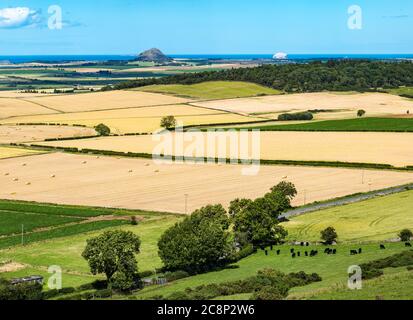 East Lothian, Schottland, Großbritannien, 26. Juli 2020. UK Wetter: Sommersonne über landwirtschaftlicher Landschaft. Die Sonne scheint auf geernteten Feldern. Ein Fernblick auf die vulkanischen Merkmale von Berwick Law und den Bass Rock im Firth of Forth Stockfoto