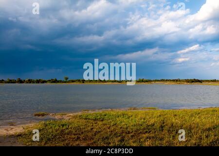 Salzsumpfgebiete unter einem bewölkten Himmel mit Regen in der Ferne bei Assateague Island National Seashore, Maryland Stockfoto