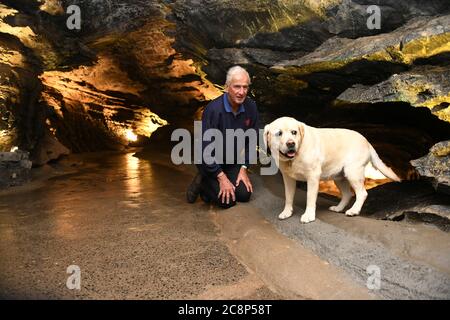 26. Juli 2020, Brecon Beacons, Wales. Ashford Price Besitzer der Dan-yr-Ogof Höhlen in Wales wird mit Search do Ffion, der verschollene Besucher der Höhlen schnuppert abgebildet. Die Attraktion, die den größten Höhlenkomplex ihrer Art in Großbritannien hat und sich im Brecon Beacons National Park befindet, hat dieses Wochenende nach monatelanger Schließung aufgrund der Coronavirus-Sperre wieder eröffnet. Ähnliche Attraktionen in England, die seit einem Monat geöffnet sind, drängten die walisische Regierung, diesem Beispiel zu folgen und Dan-yr-Ogof ihre Türen öffnen zu lassen. Kredit : Robert Melen/Alamy Live Nachrichten. Stockfoto