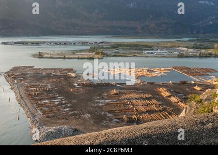 Squamish, BC/Kanada-8. Oktober 2019: Luftaufnahme von Squamish Mills eine Holzfällerart, die in Howe Sound liegt. Tausende von Protokollen werden täglich herübergeführt, grou Stockfoto