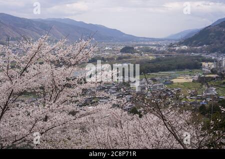 Kirschblüten im Sakuragaoka Park in Miyoshi, Präfektur Tokushima, Shikoku Japan - Blick nach Nordosten mit dem Yoshino Fluss Stockfoto