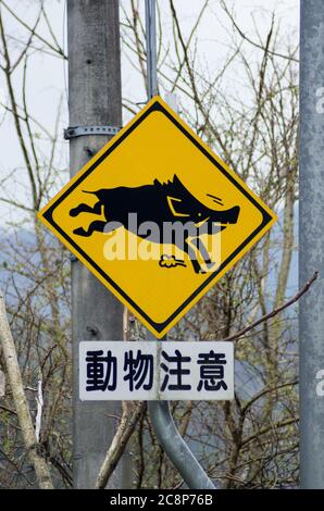 Straßenschild in Miyoshi, Präfektur Tokushima, Shikoku, Japan Warnung vor dem Aufladen von Wildschweinen. Schild mit der Aufschrift „Vorsicht vor Tieren“ Stockfoto