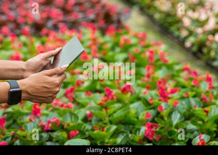 Landwirtschaftliche Technologie. Mädchen mit Tablet machen Foto von Blumen Stockfoto