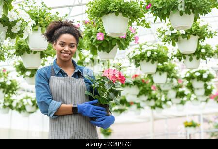 Blumengeschäft. Glückliche Frau Bauer hält rosa Blumen in den Händen Stockfoto