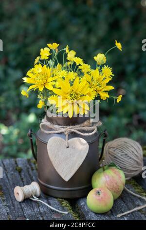 Rustikales Bouquet in Gelb von Rudbeckia und Butterblume Blumen in Jahrgangsmilchkannte Stockfoto