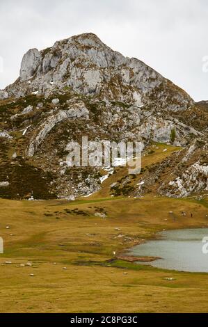 Wanderer in der Nähe des Gletschersees Lago Ercina bei bewölktem Tag mit dem Pico Llucia Gipfel im Hintergrund (Cangas de Onís, Nationalpark Picos de Europa, Asturien, Spanien) Stockfoto