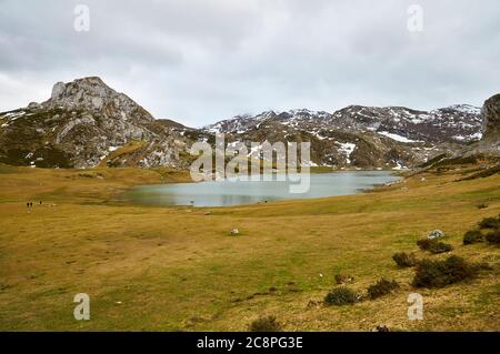 Wanderer rund um den Lago Ercina Gletschersee bei bewölktem Tag mit Schnee in den nahe gelegenen Gipfeln (Cangas de Onís, Nationalpark Picos de Europa, Asturien, Spanien) Stockfoto