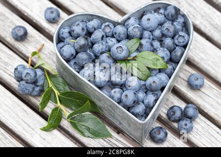 Frische Heidelbeeren auf dem Tisch Stockfoto