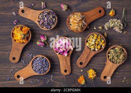 Getrocknete Blumen in Holzlöffeln auf blauem Hintergrund Stockfoto