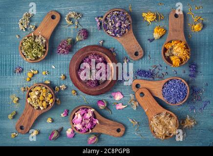 Getrocknete Blumen in Holzlöffeln auf blauem Hintergrund Stockfoto