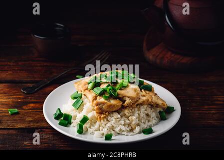 Japanisches Reisgericht mit Huhn, Ei, in Scheiben geschnittener Zwiebel Stockfoto