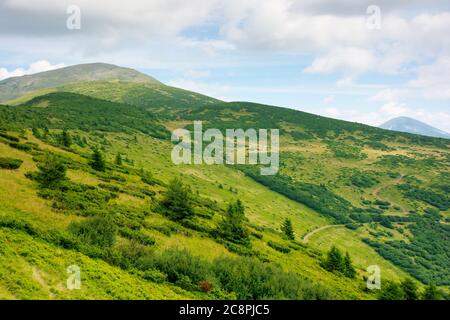Weg durch grasbewachsene Bergwiese. Schöne Landschaft der karpaten. Wolken am Himmel Stockfoto