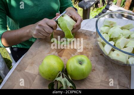 Familie bereitet selbst angebaute Bio-Kochäpfel in ihrem Garten, England, Großbritannien Stockfoto