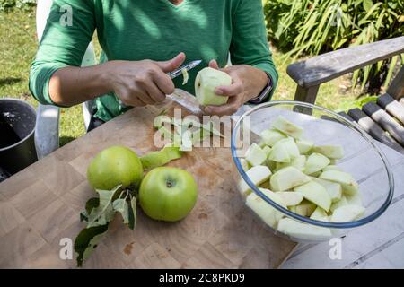 Familie bereitet selbst angebaute Bio-Kochäpfel in ihrem Garten, England, Großbritannien Stockfoto