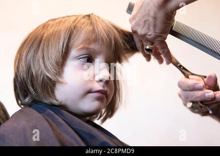 4 Jahre alter Junge bekommt einen Haarschnitt Stockfoto