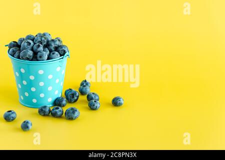 Obst und Gemüse, Vitamin, gesunde Lebensmittel und Getränke, traditionelle Medizin, Gastronomie Konzept - Layout lila Heidelbeeren in blauen Eimer mit Stockfoto