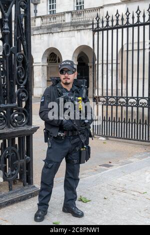 Ein vollbewaffneter Metropolitan Police Officer, der dem Diplomatischen Schutzdienst in Whitehall angehört. Stockfoto