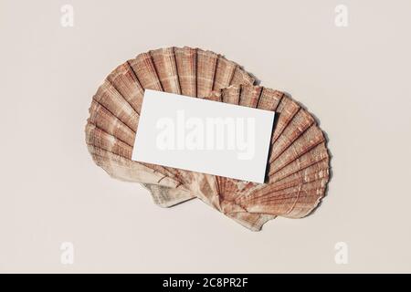 Moderne Sommer Schreibwaren Stillleben. Leere Visitenkarte Nachbau Szene mit rosa Auster Muscheln. Beigefarbener Tischhintergrund. Flach liegend, Draufsicht Stockfoto