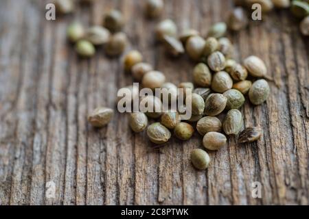 Cannabis Samen auf Holzhintergrund. Vegetarisches Konzept Stockfoto