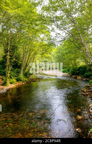 Ruhiger Fluss in der Nähe von Ketchikan, Alaska, der Lachshauptstadt der Welt. USA Stockfoto