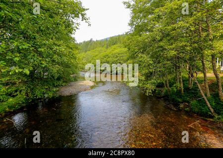 Ruhiger Fluss in der Nähe von Ketchikan, Alaska, der Lachshauptstadt der Welt. USA Stockfoto