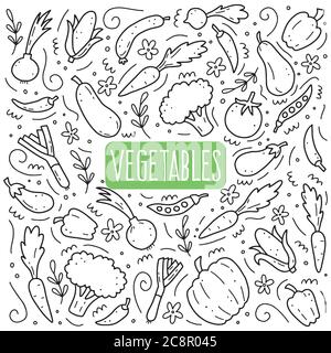 Handgezeichnetes Set aus pflanzlichen Elementen, Karotten, Salat, Tomaten, Zwiebeln, Salat, Chili. Comic-Doodle Skizze Stil. Gemüse Element gezeichnet mit digitalem Pinsel-Stift. Vektordarstellung für Symbol, Menü, Rahmen Stock Vektor