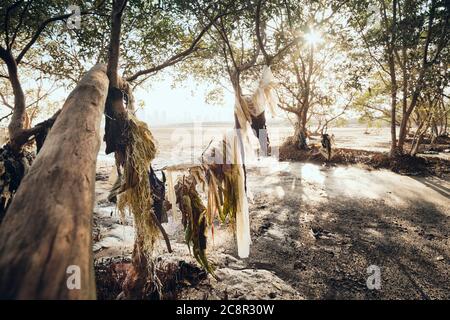 Verschmutzung Durch Plastik Und Abfallkontamination Auf Meeresküste Stockfoto