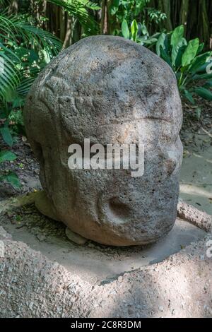 Denkmal 75, ein menschlicher Kopf, aus den Olmec Ruinen von La Venta. Vorklassische Periode (700-400 v. Chr.). La Venta Museum, Villahermosa, Mexiko. Stockfoto